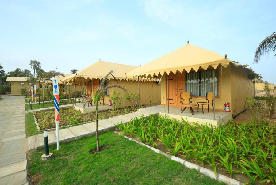 Open view of the fern diu tents and plants