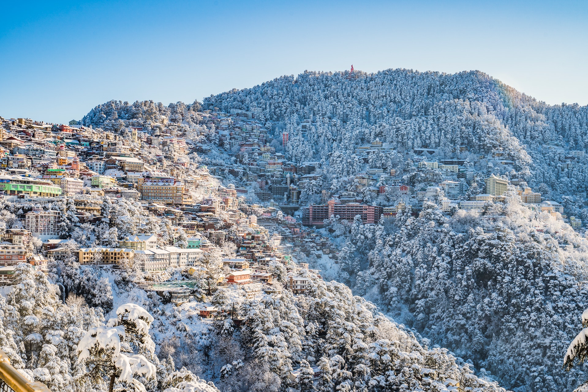 shimla winter view