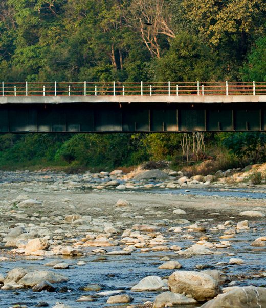 JIM CORBETT