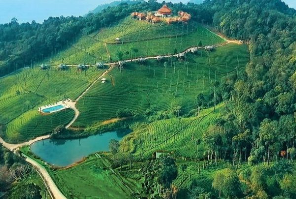 ooty beauty